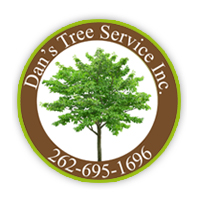 Dan's Tree Service, Inc | Waukesha Tree Care & Landscaping