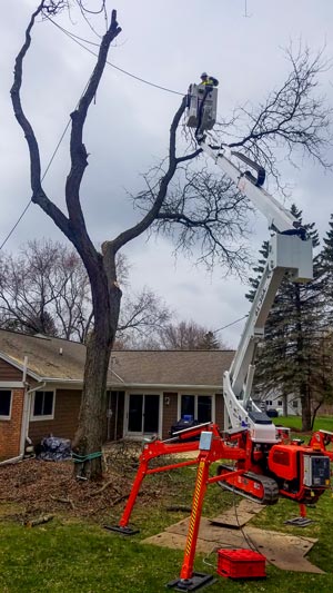 Tree removal service, bucket lift operator