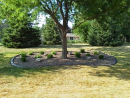 Dan’s Tree Service, Inc.