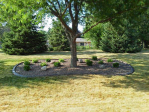 Dan's Tree Service shows removed trim of landscape after install in Brookfield, WI