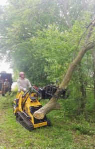Dan's Tree Removal Service removes tree remains in Brookfield, WI