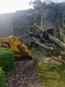 Dan's Tree Removal Services tear down tree in New Berlin, WI