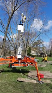 Dan's Tree Removal Service eliminate branches with fork lift in Elm Grove, Wi