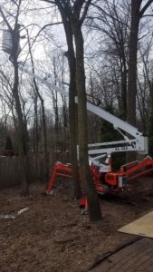 Dan's Tree Removal Services utilize fork lift in Pewaukee, WI.