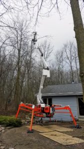 Dan's Tree Removal Services execute branches trimming in New Berlin, WI