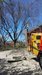 Dan's Tree Service uses forklift to trim branches in Waukesha, WI