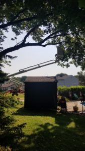 Dan's Tree Service offers tree trimming above pool in Elm Grove, WI