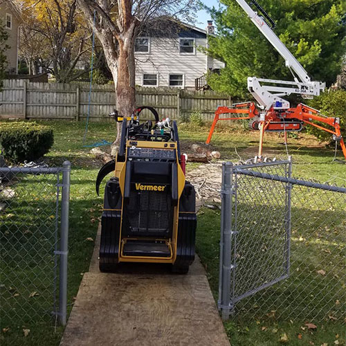 Mini Skid Steer