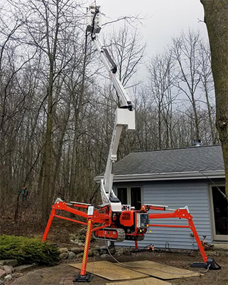 Spider Lift for Tree Removal