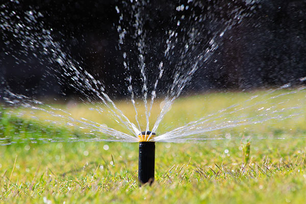 Lawn Sprinkler System