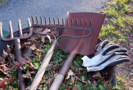 fall landscaping tools