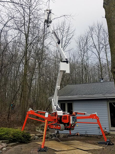 Spider Lift for Tall Tree Limb Removal