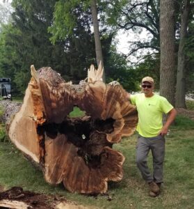 Large stump excavated by Dan's Tree Service in Waukesha, WI