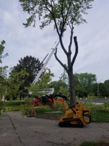 Dan's Tree Service removing large tree in New Berlin, WI