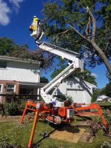 Dan's Tree Service removing large branches in Waukesha, WI
