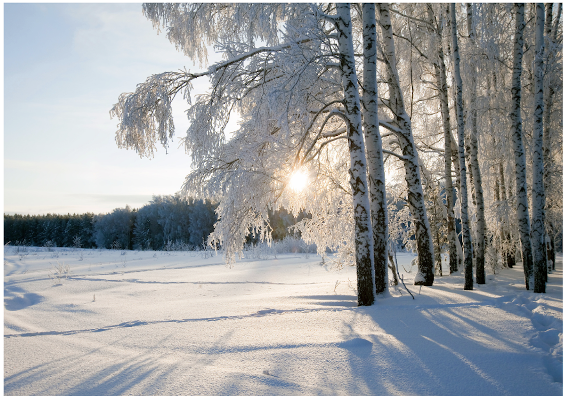 Wisconsin winters with Dan's Tree Service