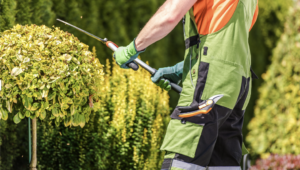 Landscaping Business Success – It’s About The Crew